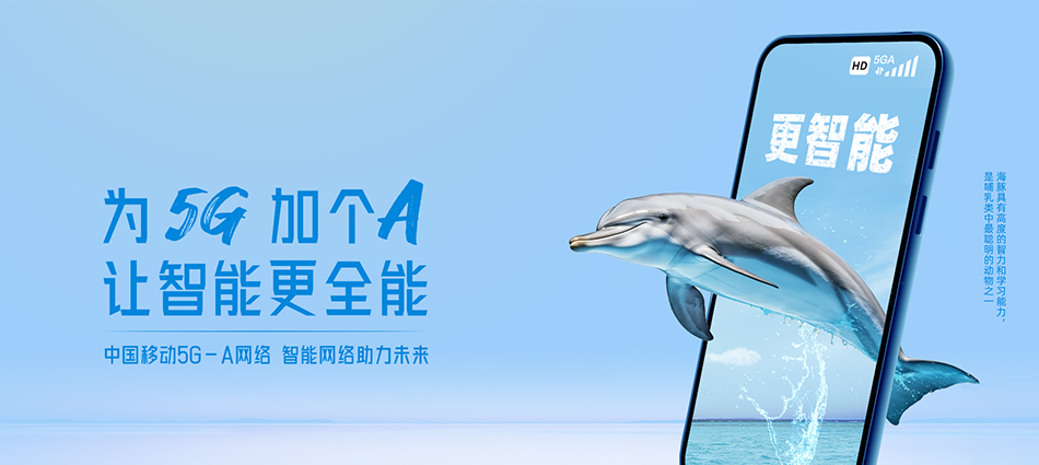 中国移动茌平区移动宽带