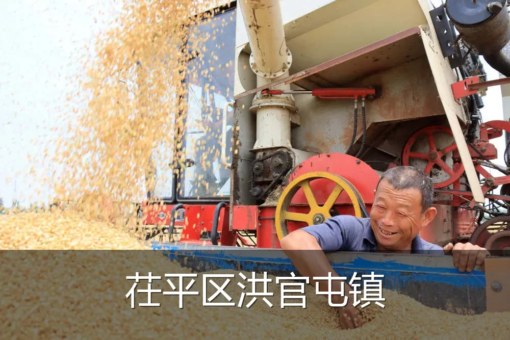 茌平区洪官屯镇
